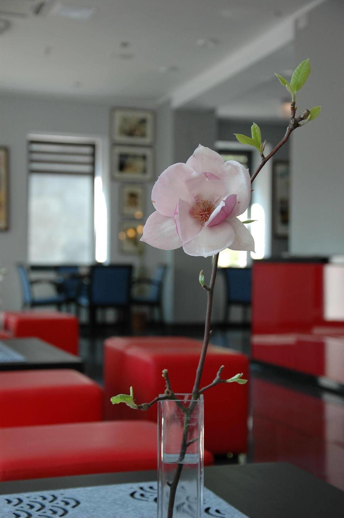 Hotel Opera Tarnowskie Gory Luaran gambar